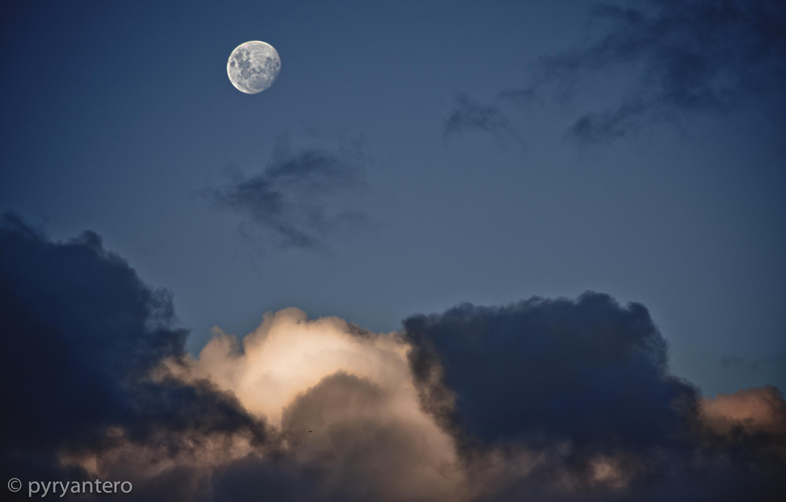 Moon, Catlins, New Zealand. Pyry Antero Pietiläinen Photography, pyryantero
