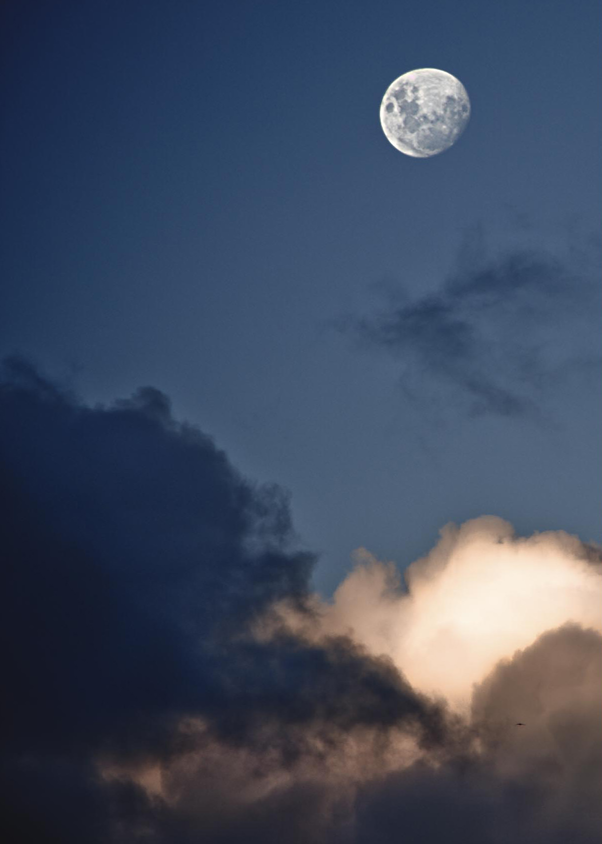 Moon as seen in Catlins, New Zealand. Pyry Antero Pietiläinen Photography, pyryantero